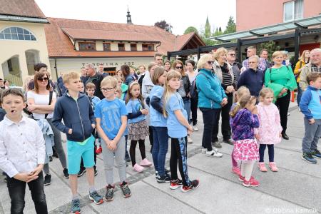 Čebela velikanka potuje po Kamniku (36)